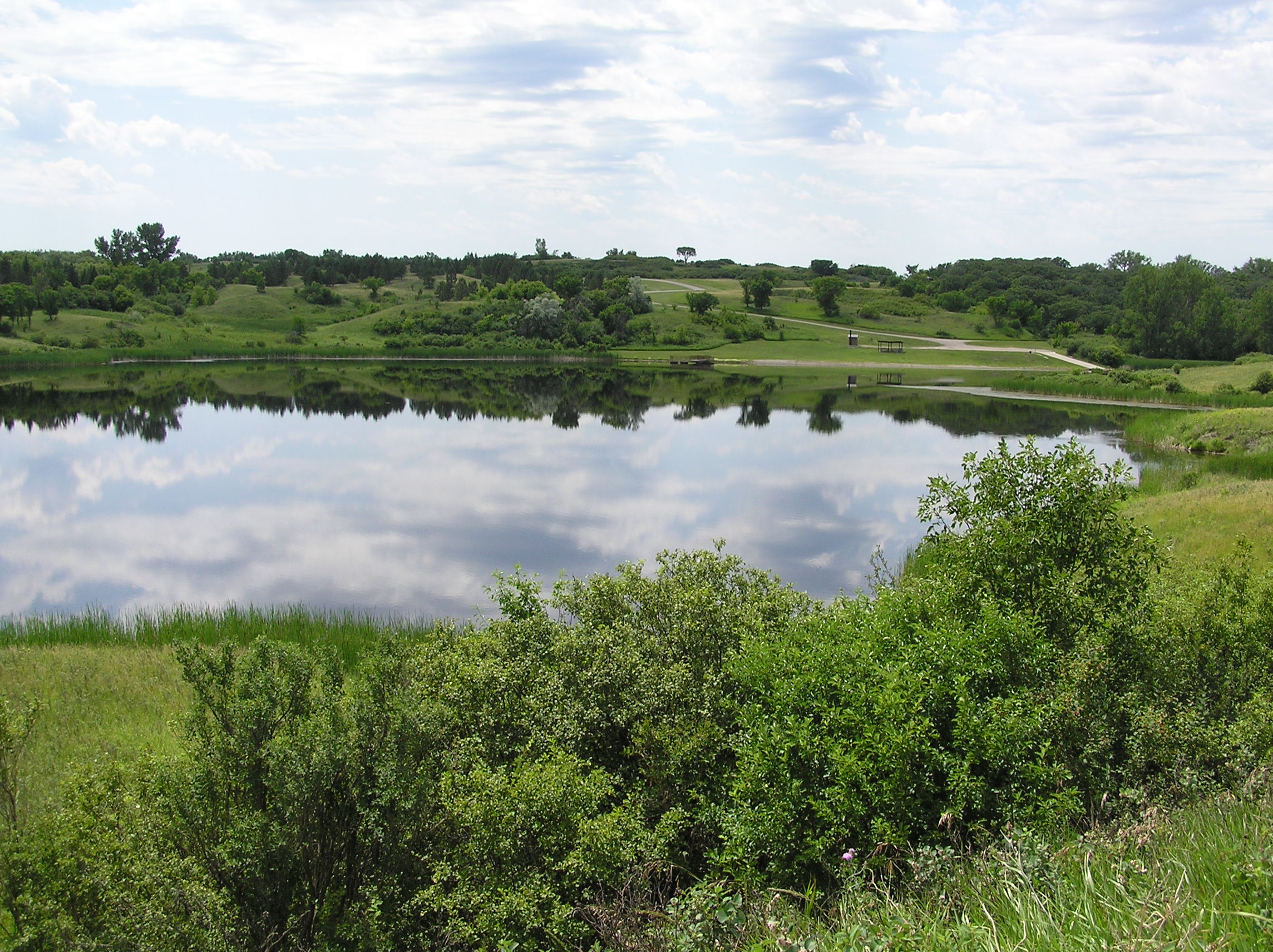 Clausen Springs Overlook View 2