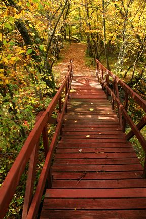 Little Yellowstone Red Bridge